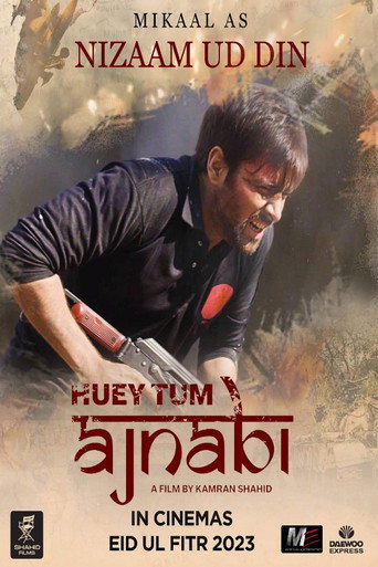 Huey Tum Ajnabi (2023) Urdu Pakistani PRE DVD