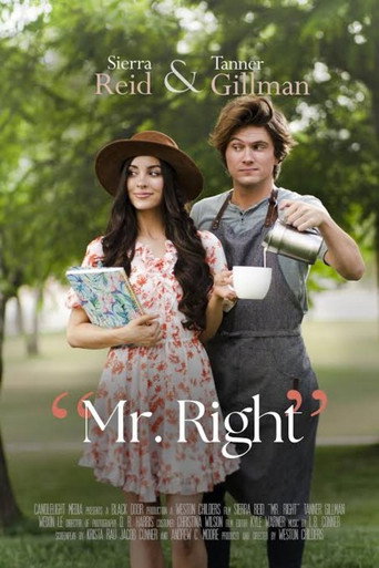 Mr. Right (2023) Unofficial Hindi Dubbed